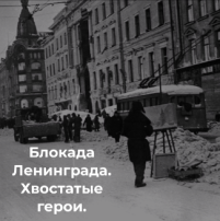 Блокада Лениндгада. Блокада Лениндгада.